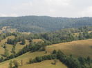 P8130138