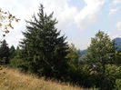 P8130142