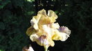 DSC00103