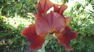 DSC09747