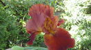 DSC09749