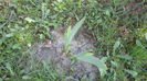 DSC09563
