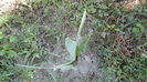DSC09567