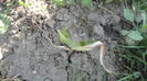 DSC09569