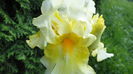 DSC09701