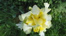 DSC09702