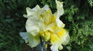 DSC09703