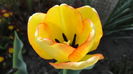 DSC09408