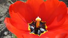 DSC09501