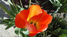 DSC09538