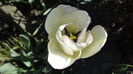 DSC09548