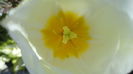 DSC09556