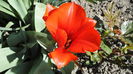 DSC09602
