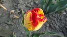 DSC09673