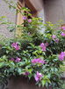 DSC04157