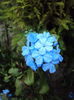 DSC04180