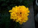 IMG_20150812_063654
