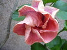 P1230546