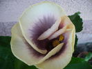 P1230562