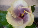 P1230581