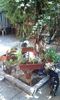 IMG-20150815-WA0107
