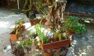 IMG-20150815-WA0098