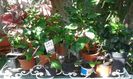 IMG-20150815-WA0005