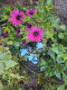 DSC04206