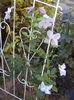 DSC04210
