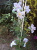 DSC04259
