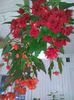 IMG_20150815_190902