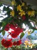 IMG_20150815_190730