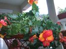 IMG_20150815_190619