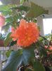 IMG_20150815_190456