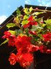 IMG_20150815_190100