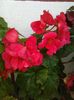 IMG_20150815_185733