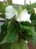 IMG_20150815_185717