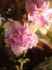 20150811_082225