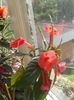 20150811_082443