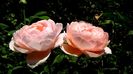 15 AUGUST (28)