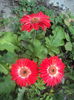 DSC04345