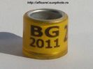 bg 2011 galben