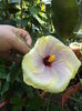 DSC04660