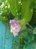 20150816_104806
