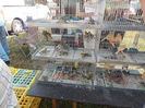 DSCN0050