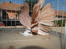 DSCN0054