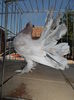DSCN0056