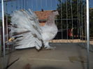 DSCN0058