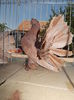 DSCN0059