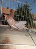 DSCN0064